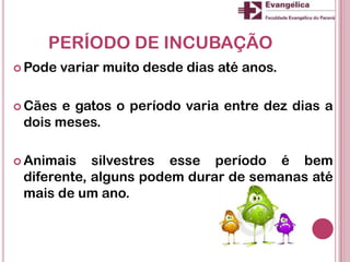 PERÍODO DE INCUBAÇÃO
 Pode variar muito desde dias até anos.
 Cães e gatos o período varia entre dez dias a
dois meses.
 Animais silvestres esse período é bem
diferente, alguns podem durar de semanas até
mais de um ano.
 