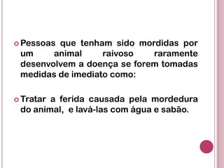  Pessoas que tenham sido mordidas por
um animal raivoso raramente
desenvolvem a doença se forem tomadas
medidas de imediato como:
 Tratar a ferida causada pela mordedura
do animal, e lavá-las com água e sabão.
 