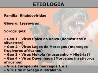 ETIOLOGIA 
Família: Rhabdoviridae 
Gênero: Lyssavirus 
Sorogrupos: 
• Gen 1 - Vírus típico da Raiva (domésticos e silvestres) 
• Gen 2 - Vírus Lagos de Morcegos (morcegos frugívoros africanos) 
• Gen 3 - Vírus Mokola (musaranho – Nigéria)) 
• Gen 4 - Virus Duvenhage (Morcegos insetívoros africanos) 
• Vírus Europeu de morcegos 1 e 2 
• Vírus de morcego australiano.  
