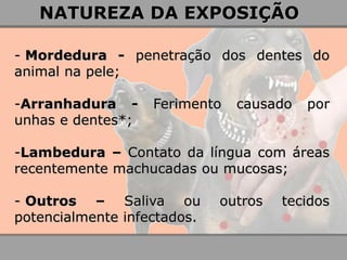 - Mordedura - penetração dos dentes do animal na pele; 
-Arranhadura - Ferimento causado por unhas e dentes*; 
-Lambedura – Contato da língua com áreas recentemente machucadas ou mucosas; 
- Outros – Saliva ou outros tecidos potencialmente infectados. 
NATUREZA DA EXPOSIÇÃO  