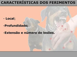 - Local; 
-Profundidade; 
-Extensão e número de lesões. 
CARACTERÍSTICAS DOS FERIMENTOS  