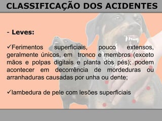 - Leves: 
Ferimentos superficiais, pouco extensos, geralmente únicos, em tronco e membros (exceto mãos e polpas digitais e planta dos pés); podem acontecer em decorrência de mordeduras ou arranhaduras causadas por unha ou dente; 
lambedura de pele com lesões superficiais 
CLASSIFICAÇÃO DOS ACIDENTES  