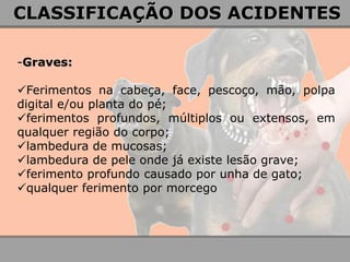 -Graves: 
Ferimentos na cabeça, face, pescoço, mão, polpa digital e/ou planta do pé; 
ferimentos profundos, múltiplos ou extensos, em qualquer região do corpo; 
lambedura de mucosas; 
lambedura de pele onde já existe lesão grave; 
ferimento profundo causado por unha de gato; 
qualquer ferimento por morcego 
CLASSIFICAÇÃO DOS ACIDENTES  
