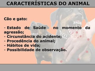 Cão e gato: 
- Estado de Saúde no momento da agressão; 
- Circunstância do acidente; 
- Procedência do animal; 
- Hábitos de vida; 
- Possibilidade de observação. 
CARACTERÍSTICAS DO ANIMAL  