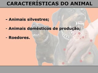 - Animais silvestres; 
- Animais domésticos de produção; 
- Roedores. 
CARACTERÍSTICAS DO ANIMAL  