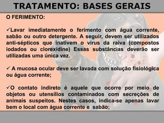 O FERIMENTO: 
Lavar imediatamente o ferimento com água corrente, sabão ou outro detergente. A seguir, devem ser utilizados anti-sépticos que inativem o vírus da raiva (compostos iodados ou clorexidine) Essas substâncias deverão ser utilizadas uma única vez. 
 A mucosa ocular deve ser lavada com solução fisiológica ou água corrente; 
O contato indireto é aquele que ocorre por meio de objetos ou utensílios contaminados com secreções de animais suspeitos. Nestes casos, indica-se apenas lavar bem o local com água corrente e sabão; 
TRATAMENTO: BASES GERAIS  