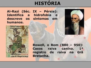 Al-Razi (Séc. IX – Pérsia): Identifica a hidrofobia e descreve os sintomas em humanos. 
Rowell, o Bom (880 – 950): Casos raiva canina. 1º registro de raiva na Grã Bretanha. 
HISTÓRIA  