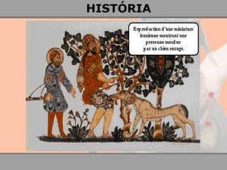 HISTÓRIA  
