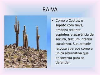 RAIVA
• Como o Cactus, o
sujeito com raiva,
embora ostente
espinhos e aparência de
secura, traz um interior
suculento. Sua atitude
raivosa aparece como a
única alternativa que
encontrou para se
defender.
 