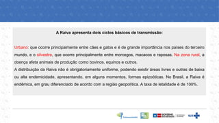 A Raiva apresenta dois ciclos básicos de transmissão:
Urbano: que ocorre principalmente entre cães e gatos e é de grande importância nos países do terceiro
mundo, e o silvestre, que ocorre principalmente entre morcegos, macacos e raposas. Na zona rural, a
doença afeta animais de produção como bovinos, equinos e outros.
A distribuição da Raiva não é obrigatoriamente uniforme, podendo existir áreas livres e outras de baixa
ou alta endemicidade, apresentando, em alguns momentos, formas epizoóticas. No Brasil, a Raiva é
endêmica, em grau diferenciado de acordo com a região geopolítica. A taxa de letalidade é de 100%.
 