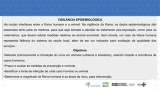 VIGILÂNCIA EPIDEMIOLÓGICA
Há muitas interfaces entre a Raiva humana e a animal. Na vigilância da Raiva, os dados epidemiológicos são
essenciais tanto para os médicos, para que seja tomada a decisão de tratamento pós-exposição, como para os
veterinários, que devem adotar medidas relativas ao animal envolvido. Sem dúvida, um caso de Raiva humana
representa falência do sistema de saúde local, além de ser um indicador para avaliação da qualidade dos
serviços.
Objetivos
•Detectar precocemente a circulação do vírus em animais (urbanos e silvestres), visando impedir a ocorrência de
casos humanos.
•Propor e avaliar as medidas de prevenção e controle.
•Identificar a fonte de infecção de cada caso humano ou animal.
•Determinar a magnitude da Raiva humana e as áreas de risco, para intervenção.
 