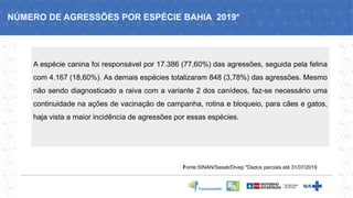 A espécie canina foi responsável por 17.386 (77,60%) das agressões, seguida pela felina
com 4.167 (18,60%). As demais espécies totalizaram 848 (3,78%) das agressões. Mesmo
não sendo diagnosticado a raiva com a variante 2 dos canídeos, faz-se necessário uma
continuidade na ações de vacinação de campanha, rotina e bloqueio, para cães e gatos,
haja vista a maior incidência de agressões por essas espécies.
Fonte:SINAN/Sesab/Divep *Dados parciais até 31/07/2019
NÚMERO DE AGRESSÕES POR ESPÉCIE BAHIA 2019*
 