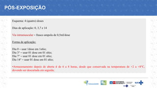 Esquema: 4 (quatro) doses
Dias de aplicação: 0, 3,7 e 14
Via intramuscular – frasco ampola de 0,5ml/dose
Forma de aplicação:
Dia 0 – usar 1dose em 1sítio;
Dia 3° – usar 01 dose em 01 sítio;
Dia 7° – usar 01 dose em 01 sítio;
Dia 14° – usar 01 dose em 01 sítio;
•Armazenamento depois de aberta é de 6 a 8 horas, desde que conservada na temperatura de +2 a +8°C,
devendo ser descartada em seguida;
PÓS-EXPOSIÇÃO
 