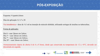 Esquema: 4 (quatro) doses
Dias de aplicação: 0, 3,7 e 28
Via intradérmica – dose de 0,1 ml na inserção do músculo deltóide, utilizando seringas de insulina ou tuberculina;
Forma de aplicação:
Dia 0 – usar 2doses em 2sítios;
Dia 3° – usar 2doses em 2sítios;
Dia 7° – usar 2doses em 2sítios;;
Dia 28° – usar 2doses em 2sítios;
•Armazenamento depois de aberta é de 6 a 8 horas, desde que conservada na temperatura de +2 a +8°C, devendo ser
descartada em seguida;
PÓS-EXPOSIÇÃO
 