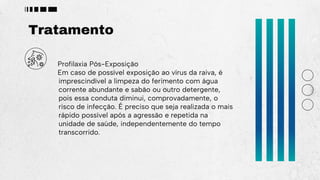 Tratamento
Profilaxia Pós-Exposição
Em caso de possível exposição ao vírus da raiva, é
imprescindível a limpeza do ferimento com água
corrente abundante e sabão ou outro detergente,
pois essa conduta diminui, comprovadamente, o
risco de infecção. É preciso que seja realizada o mais
rápido possível após a agressão e repetida na
unidade de saúde, independentemente do tempo
transcorrido.
 