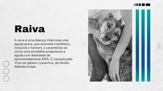 Raiva
A raiva é uma doença infecciosa viral
aguda grave, que acomete mamíferos,
inclusive o homem, e caracteriza-se
como uma encefalite progressiva e
aguda com letalidade de
aproximadamente 100%. É causada pelo
Vírus do gênero Lyssavirus, da família
Rabhdoviridae.
 