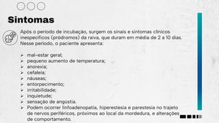Após o período de incubação, surgem os sinais e sintomas clínicos
inespecíficos (pródromos) da raiva, que duram em média de 2 a 10 dias.
Nesse período, o paciente apresenta:
 mal-estar geral;
 pequeno aumento de temperatura;
 anorexia;
 cefaleia;
 náuseas;
 entorpecimento;
 irritabilidade;
 inquietude;
 sensação de angústia.
 Podem ocorrer linfoadenopatia, hiperestesia e parestesia no trajeto
de nervos periféricos, próximos ao local da mordedura, e alterações
de comportamento.
Sintomas
 