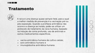 Tratamento
A raiva é uma doença quase sempre fatal, para a qual
a melhor medida de prevenção é a vacinação pré ou
pós exposição. Quando a profilaxia antirrábica não
ocorre e a doença se instala, pode-se utilizar um
protocolo de tratamento da raiva humana, baseado
na indução de coma profundo, uso de antivirais e
outros medicamentos específicos.
 vacina antirrábica humana de cultivo celular,
 soro antirrábico humano e
 imunoglobulina antirrábica humana.
 
