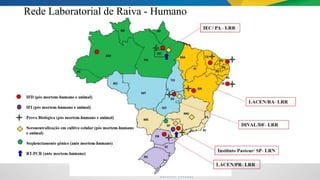 Rede Laboratorial de Raiva - Humano
 