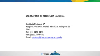 LABORATÓRIO DE REFERÊNCIA NACIONAL
Instituto Pasteur/ SP
Responsável: Dra. Andrea de Cássia Rodrigues da
Silva
Tel: (11) 3145-3145
Fax: (11) 3289-0831
Email: pasteur@pasteur.saude.sp.gov.br
 