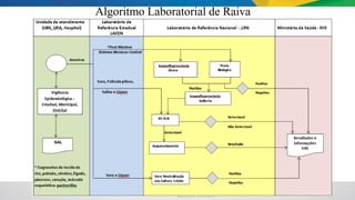 Algoritmo Laboratorial de Raiva
 