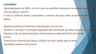 Letalidade:
Aproximadamente de 100%, com alto custo na assistência preventiva as pessoas expostas ao
risco de adoecer e morrer.
A raiva é conhecida desde a antiguidade e continua, até hoje, sendo um problemas de saúde
pública.
Apenas os mamíferos transmitem e adoecem pelo vírus da raiva.
No Brasil, o morcego é o principal responsável pela manutenção da cadeia silvestre da doença.
Enquanto o cão, em alguns municípios, continua sendo um importante fonte de infecção.
Outros
reservatorios silvestres sao: macaco, cachorro-do-mato, raposa, gato-do-mato,
mao-pelada, guaxinim, entre outros.
 