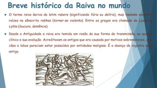 Breve histórico da Raiva no mundo
 O termo raiva deriva do latim rabere (significando fúria ou delírio), mas também encontra
raízes no sânscrito rabhas (tornar-se violento). Entre os gregos era chamada de Lyssa ou
Lytta (loucura, demência).
 Desde a Antiguidade a raiva era temida em razão da sua forma de transmissão, ao quadro
clínico e sua evolução. Acreditavam os antigos que era causada por motivos sobrenaturais, pois
cães e lobos pareciam estar possuídos por entidades malignas. É a doença de registro mais
antigo.
 