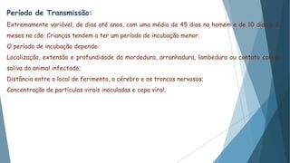 Período de Transmissão:
Extremamente variável, de dias até anos, com uma média de 45 dias no homem e de 10 dias a 2
meses no cão. Crianças tendem a ter um período de incubação menor.
O período de incubação depende:
Localização, extensão e profundidade da mordedura, arranhadura, lambedura ou contato com a
saliva do animal infectado;
Distância entre o local de ferimento, o cérebro e os troncos nervosos;
Concentração de partículas virais inoculadas e cepa viral.
 