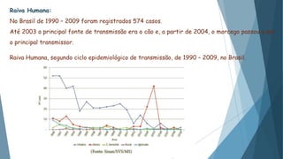 Raiva Humana:
No Brasil de 1990 – 2009 foram registrados 574 casos.
Até 2003 a principal fonte de transmissão era o cão e, a partir de 2004, o morcego passou a ser
o principal transmissor.
Raiva Humana, segundo ciclo epidemiológico de transmissão, de 1990 – 2009, no Brasil.
 