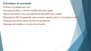 Estratégias de prevenção:
Profilaxia de pessoas sob risco;
Vacinação periódica e rotineira de 80% dos cães e gatos;
Captura de animais e envio de amostras ao laboratório para análise;
Eliminação de 20% da população canina errante, visando reduzir a circulação do vírus;
Pesquisas para conhecimento da raiva em quirópteros;
Pesquisas com relação ao ciclo da raiva silvestre.
 