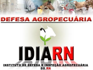 INSTITUTO DE DEFESA E INSPEÇÃO AGROPECUÁRIA
DO RN
 