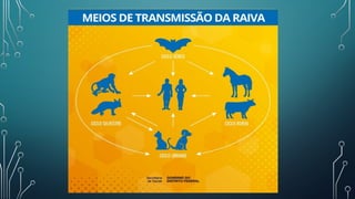 Raiva Humana e seus cuidados sinais e sintoma.pptx