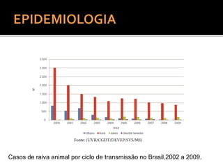 Casos de raiva animal por ciclo de transmissão no Brasil,2002 a 2009.
 