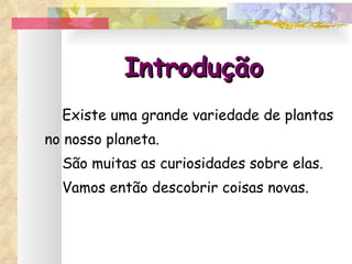 Introdução Existe uma grande variedade de plantas no nosso planeta.  São muitas as curiosidades sobre elas. Vamos então descobrir coisas novas. 