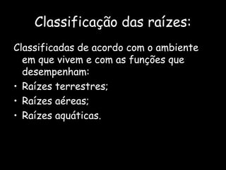Classificação das raízes:
Classificadas de acordo com o ambiente
  em que vivem e com as funções que
  desempenham:
• Raízes terrestres;
• Raízes aéreas;
• Raízes aquáticas.
 