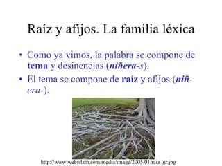 Raíz y afijos. La familia léxica ,[object Object],[object Object],http://www.webislam.com/media/image/2005/01/raiz_gr.jpg 