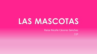 LAS MASCOTAS
Raiza Nicolle Cáceres Sánchez
11ª
 