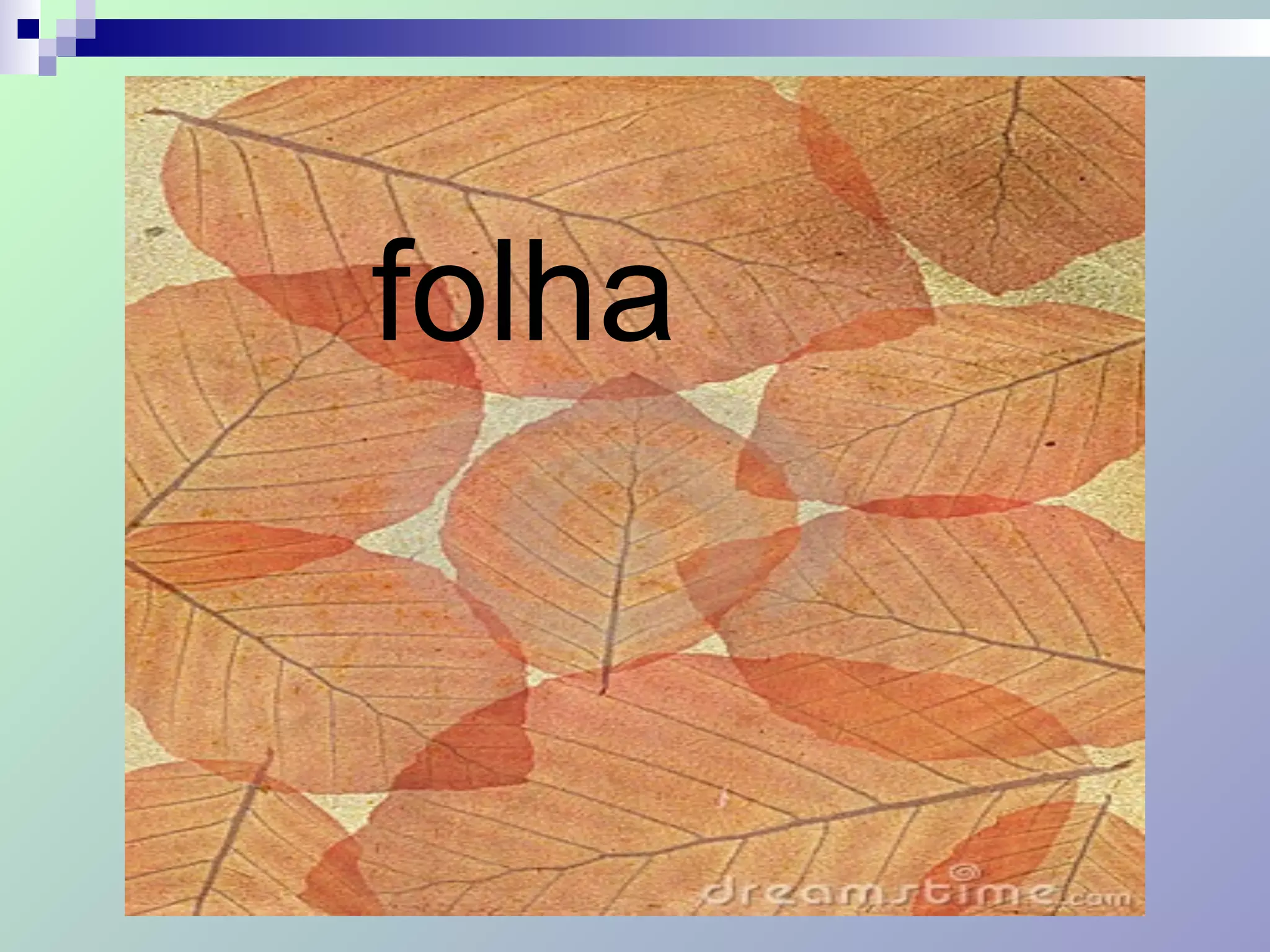folha
 