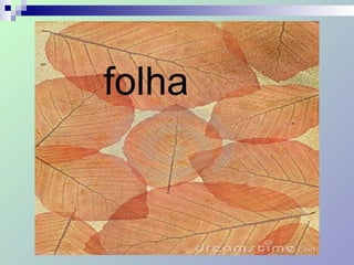 folha
 