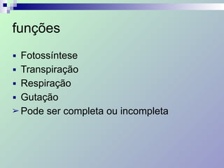funções
■ Fotossíntese
■ Transpiração
■ Respiração
■ Gutação
➢ Pode ser completa ou incompleta
 