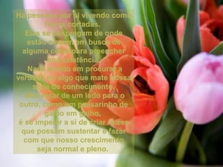 Há pessoas por aí vivendo como Há pessoas por aí vivendo como 
flores cortadas. flores cortadas. 
Elas se despregam de onde Elas se despregam de onde 
estão e saem em busca de estão e saem em busca de 
alguma coisa para preencher alguma coisa para preencher 
sua existência.sua existência.
  Nada errado em procurar a Nada errado em procurar a 
verdade ou algo que mate nossa verdade ou algo que mate nossa 
sede de conhecimento.sede de conhecimento.
  Mas estar de um lado para o Mas estar de um lado para o 
outro, como um passarinho de outro, como um passarinho de 
galho em galho, galho em galho, 
é se impedir a si de criar raízes é se impedir a si de criar raízes 
que possam sustentar e fazer que possam sustentar e fazer 
com que nosso crescimento com que nosso crescimento 
seja normal e pleno. seja normal e pleno. 
 