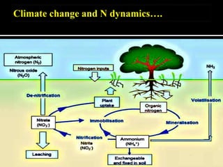 Climate change impacts on soil health and their mitigation and ...