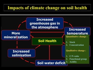 Climate change impacts on soil health and their mitigation and ...