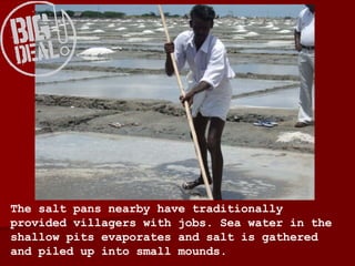 The salt pans nearby have traditionally provided villagers with jobs. Sea water in the shallow pits evaporates and salt is gathered and piled up into small mounds. 