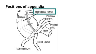 ultra sound role in acute abdomen cases .pptx