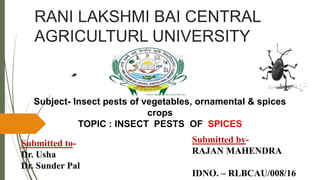 RANI LAKSHMI BAI CENTRAL
AGRICULTURL UNIVERSITY
Subject- Insect pests of vegetables, ornamental & spices
crops
TOPIC : INSECT PESTS OF SPICES
Submitted to-
Dr. Usha
Dr. Sunder Pal
Submitted by-
RAJAN MAHENDRA
IDNO. – RLBCAU/008/16
 