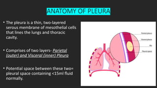 Comprehensive Imaging and Pathology of the Pleura in Radiology | PPTX