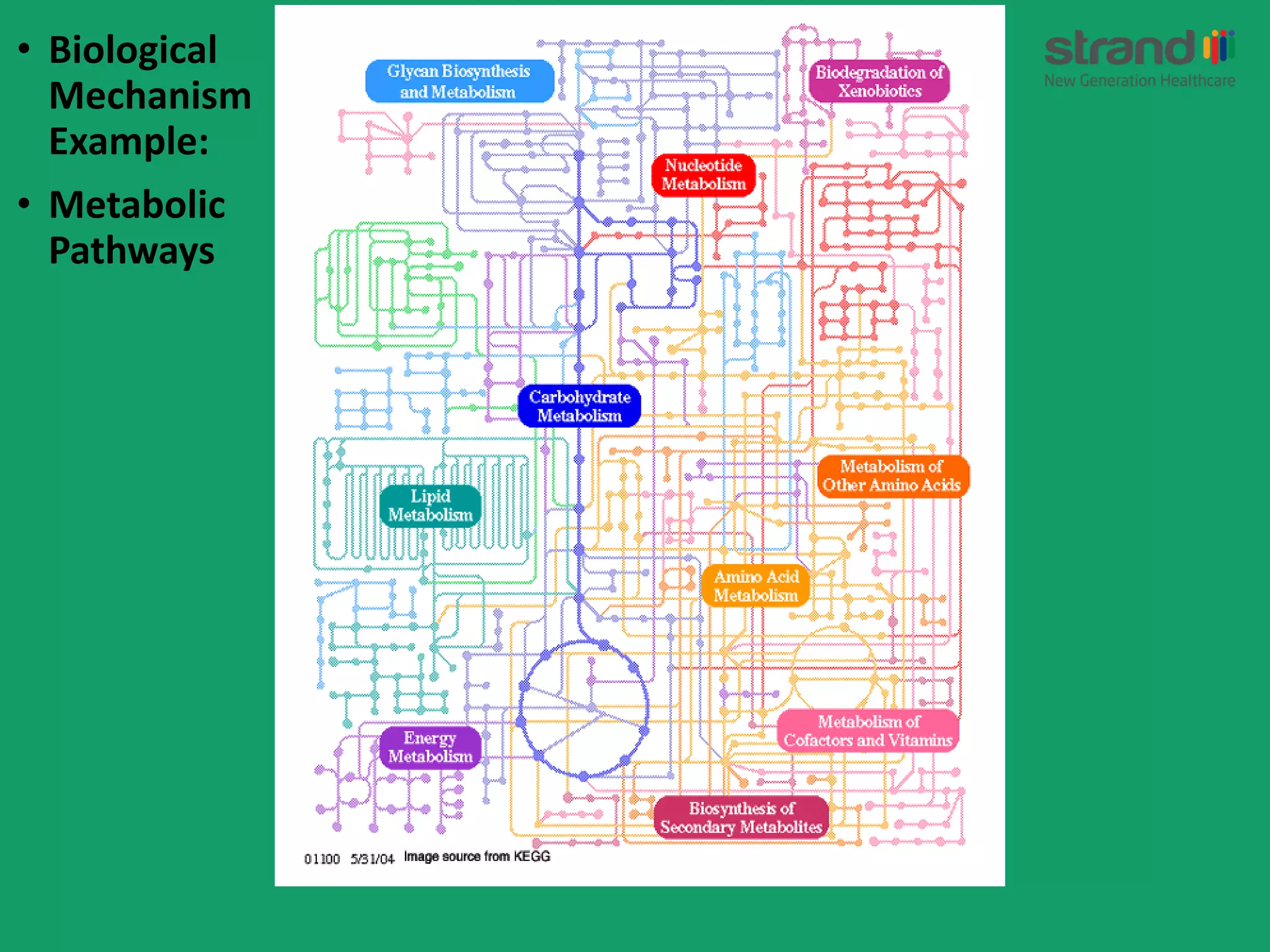 • Biological
Mechanism
Example:
• Metabolic
Pathways
 
