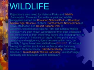 WILDLIFE Rajasthan is also noted for National Parks and  Wildlife  Sanctuaries. There are four national park and wildlife sanctuaries named the  Keoladeo National Park  of  Bharatpur ,  Sariska Tiger Reserve  of Alwar,  Ranthambore National Park  of Sawai Madhopur, and  Desert National Park  of Jaisalmer.Ranthambore National Park and Sariska Wildlife Sanctuary are both known worldwide for their tiger population and considered by both wilderness lovers and photographers as the best places in India to spot tigers. At one point, due to poaching and negligence, tigers became extinct here, but recently 5 tigers have been shifted here [ citation needed ]  . Prominent among the wildlife sanctuaries are Mount Abu Sanctuary, Bhensrod Garh Sanctuary,  Darrah Sanctuary , Jaisamand Sanctuary,  Kumbhalgarh Wildlife Sanctuary , Jawahar Sagar sanctuary and Sita Mata Wildlife Sanctuary. 