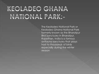 The Keoladeo National Park or
Keoladeo Ghana National Park
formerly known as the Bharatpur
Bird Sanctuary in Bharatpur,
Rajasthan, India is a famous
avifauna sanctuary that plays
host to thousands of birds
especially during the winter
season
 